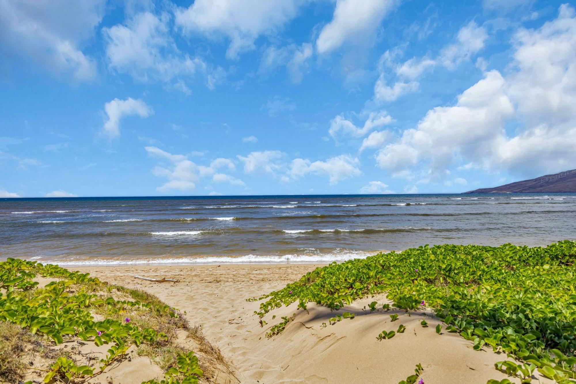 Hale Kai O'Kihei 118别墅 外观 照片